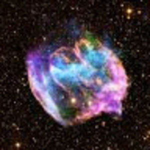 Meet your Posher, Lilo